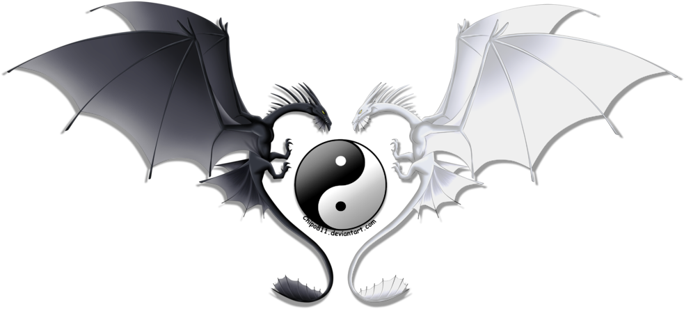 Yin And Yang Dragons