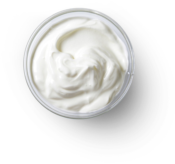 A Bowl Of White Cream