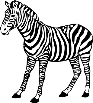 Zebra Png 308 X 340