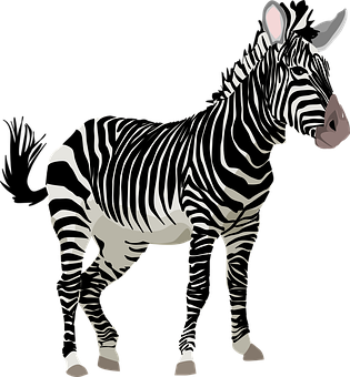 Zebra Png 315 X 340