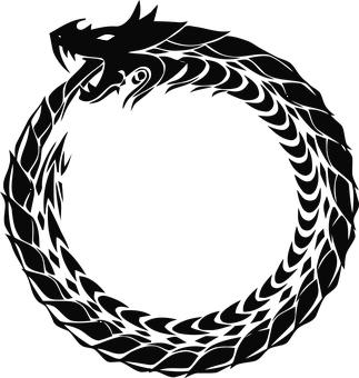A Black Dragon In A Circle
